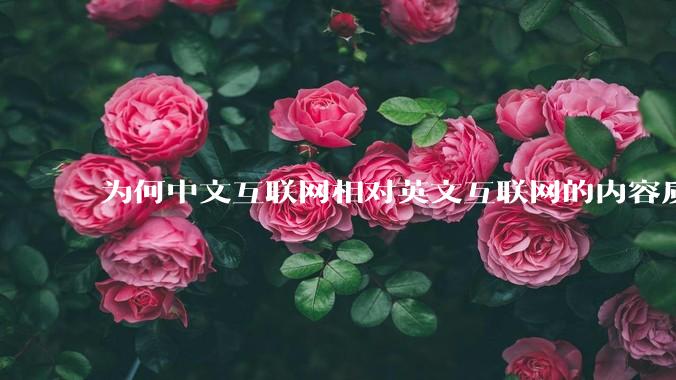 为何中文互联网相对英文互联网的内容质量较低？